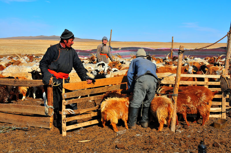 Mongolia